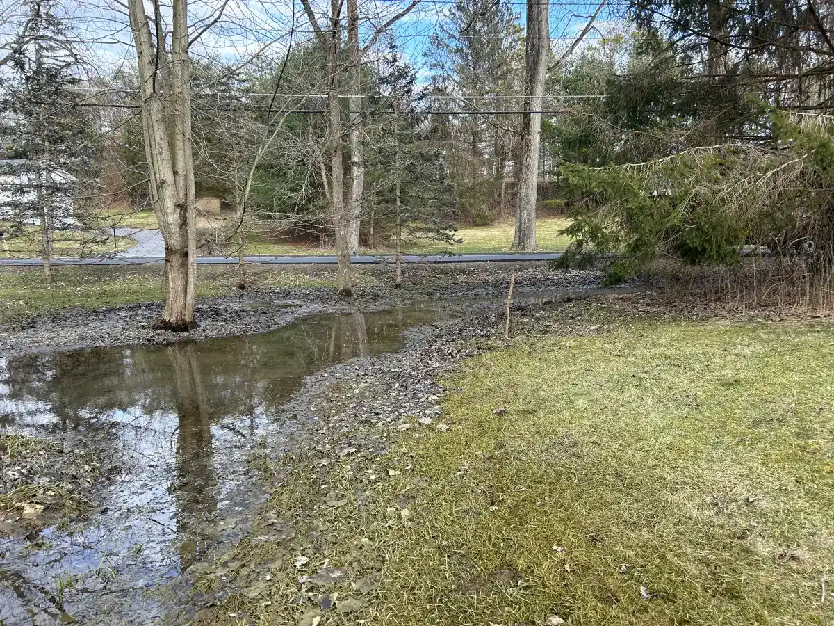 Yard drainage problem before repair