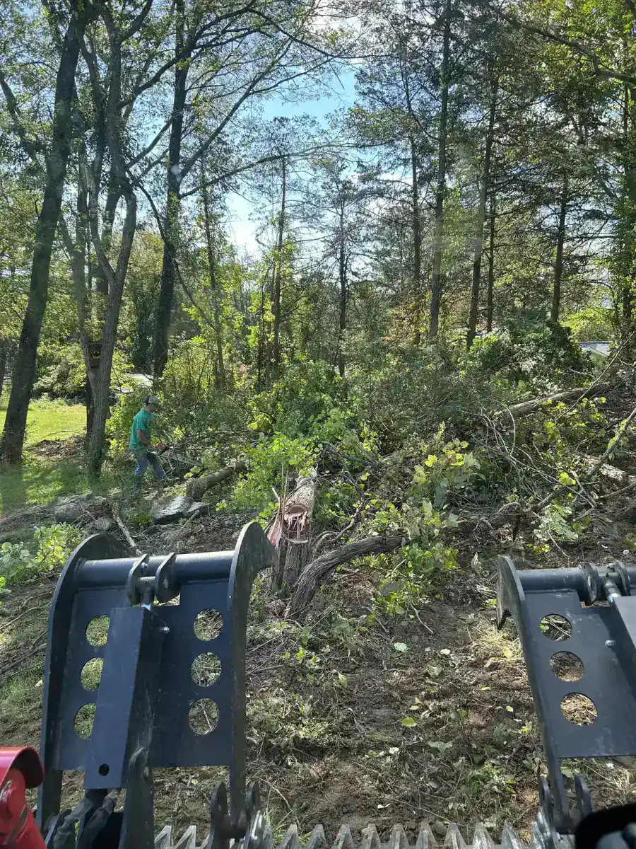 Tree removal and land clearing in Dutchess County