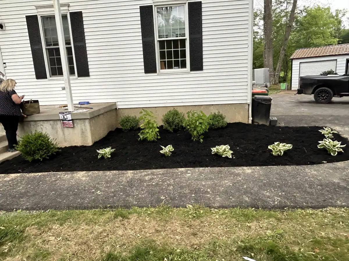 New plantings installed in landscape bed