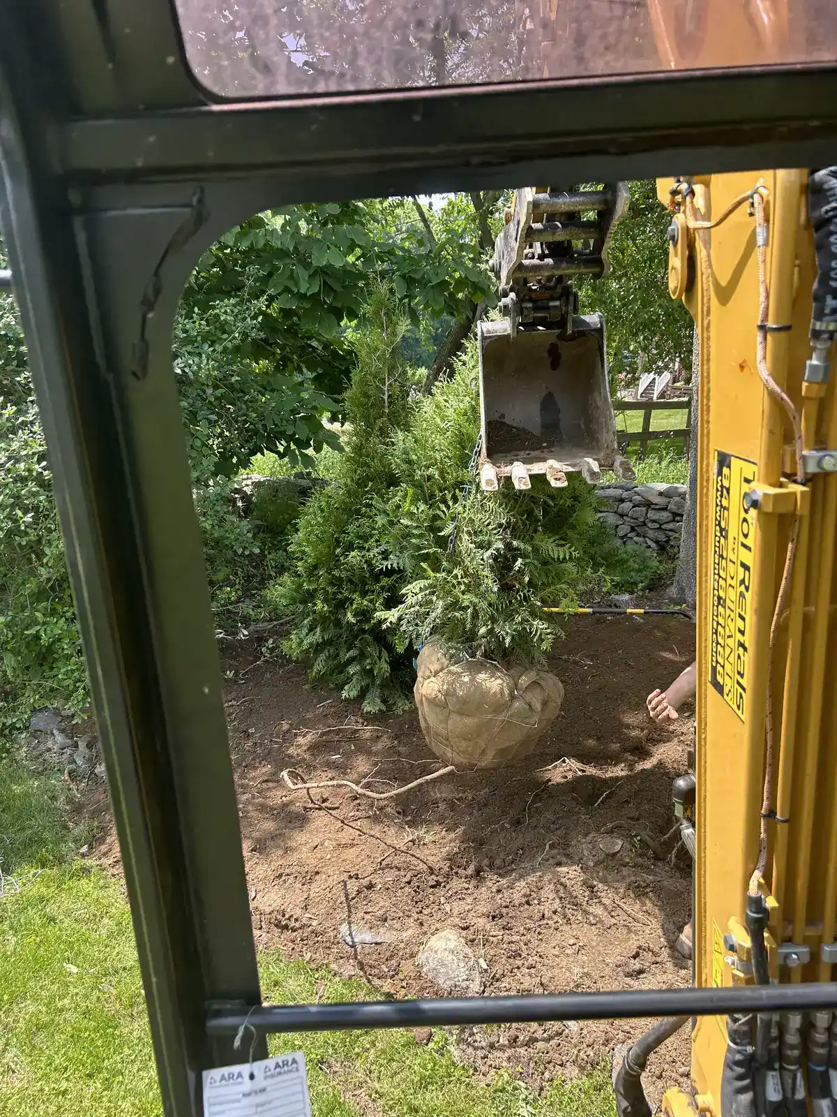Established residential planting beds and landscape improvements