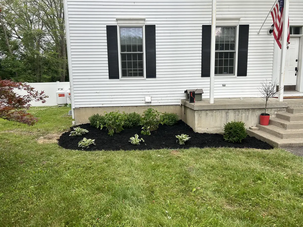 Shrub and perennial planting project