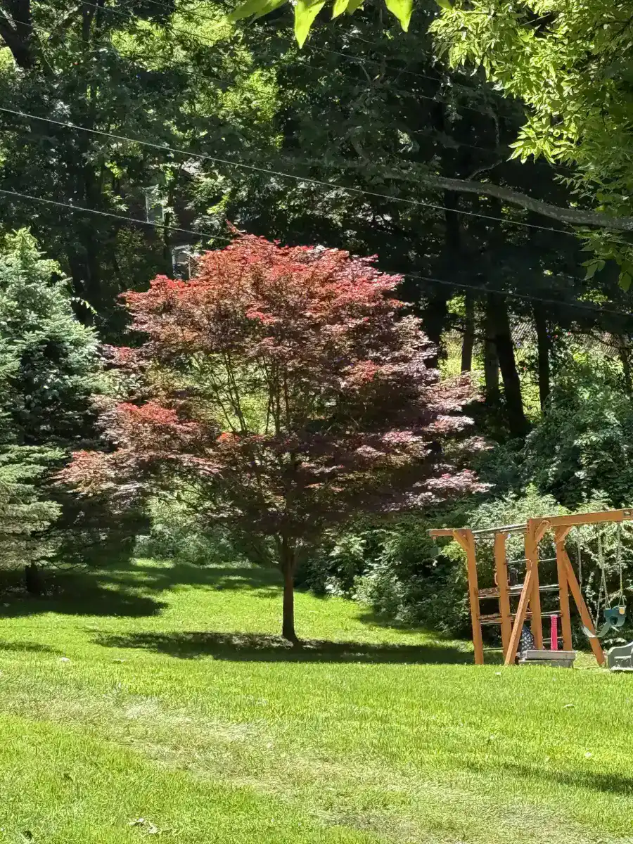 Landscaping and planting bed work in Hopewell Junction NY