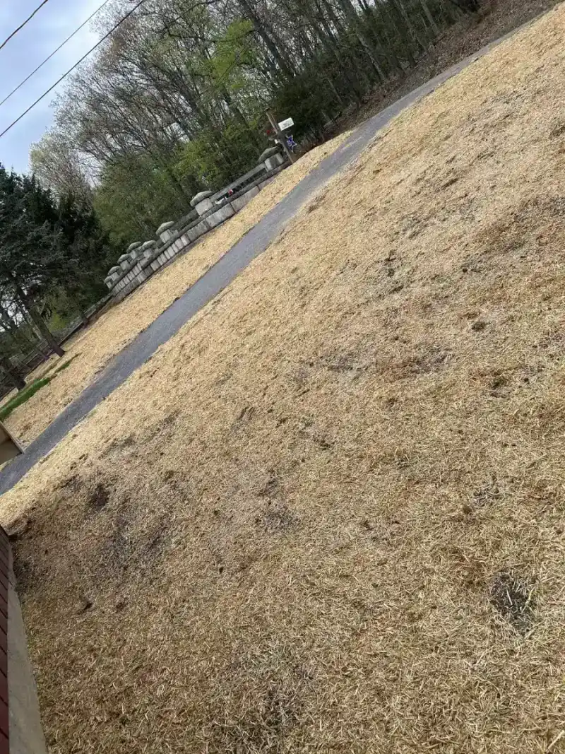 Residential lawn installation and landscape restoration
