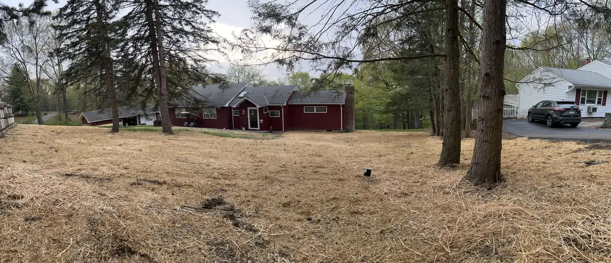 New lawn establishment showing healthy grass growth